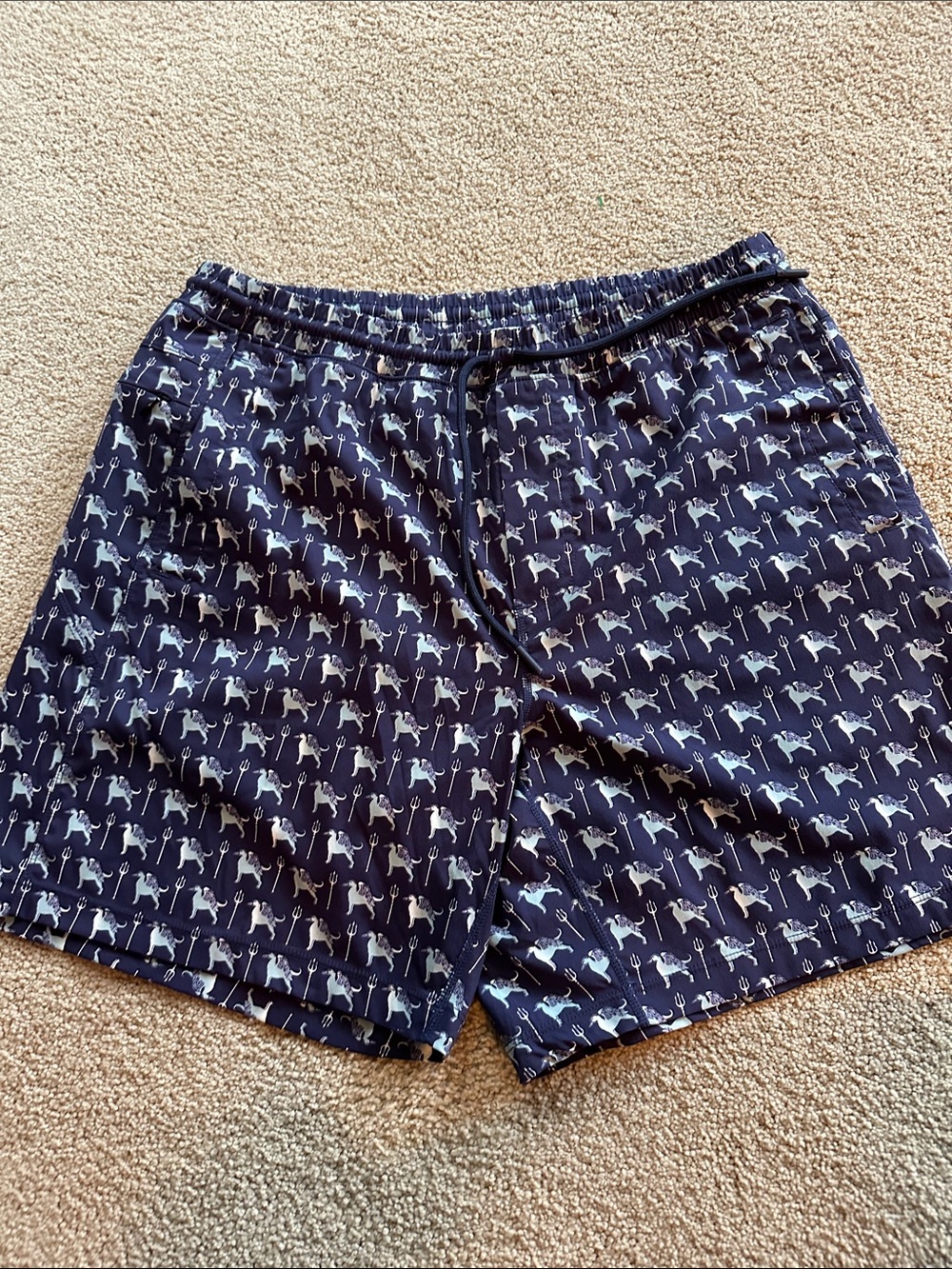 Birddogs swim trunks - Picture 10 of 12